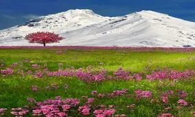 خسارت سیل فروردین‌ ماه به کشاورزی ۱۱ استان