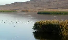 خبر خوش برای تالاب هامون جازموریان/ افزایش سطح آبگرفتگی در نتیجه سیل اخیر؛ جان دوباره به تالاب بخشید