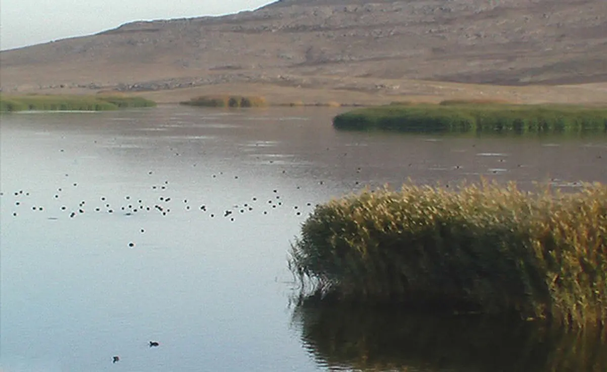 خبر خوش برای تالاب هامون جازموریان/ افزایش سطح آبگرفتگی در نتیجه سیل اخیر؛ جان دوباره به تالاب بخشید