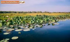 این پارک ملی، جذاب ترین مقصد توریستی دنیاست! +تصاویر