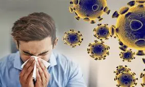 تعداد مبتلایان به کرونا در خراسان شمالی به ۳۳۷ نفر رسید
