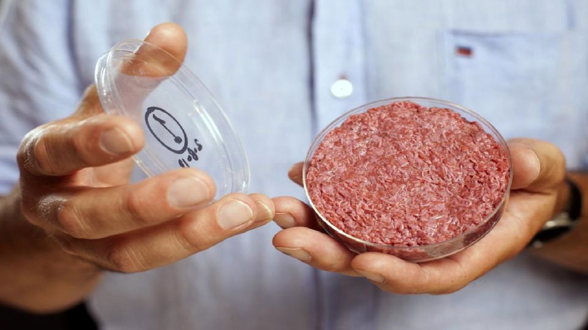اختراعی برای گیاهخواران؛ گوشت مصنوعی چطور به بازار مصرف رسید؟