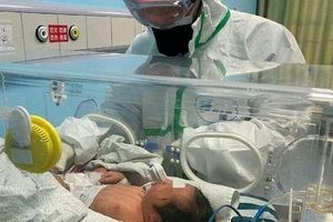 نوزاد نارس مبتلا به کرونا در مشهد متولد شد
