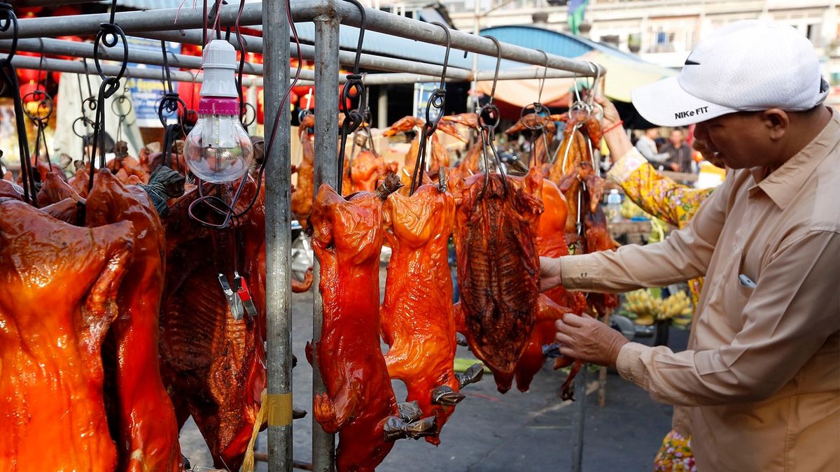 ویروس کرونا؛ چین خوردن حیوانات وحشی را ممنوع کرد