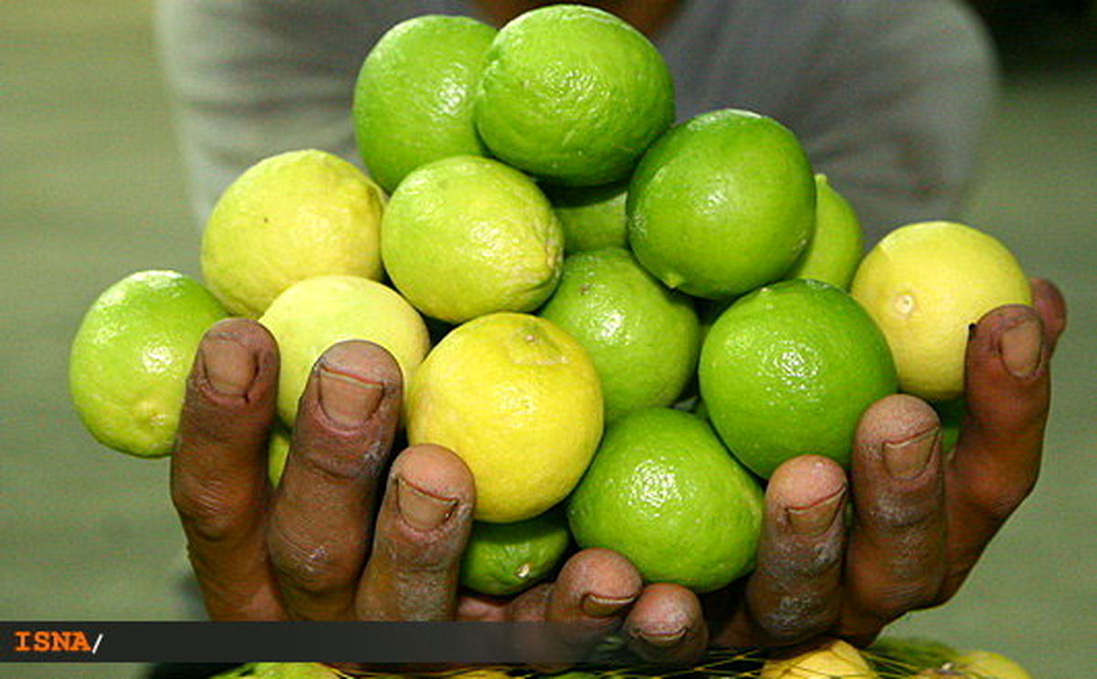 بازار لیموترش و لیموشیرین آرام میگیرد؟