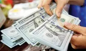 ۱۹هزار دلار ارز قاچاق در فرودگاه امام خمینی (ره) کشف شد