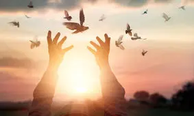 دندانپزشک یزدی زمینه آزادی یک مددجوی محکوم مالی را فراهم آورد