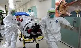 ناقل بودن پیکر مبتلایان به کرونا تکذیب شد