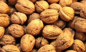 14 خوراكی مفید برای تقویت سیستم ایمنی بدن