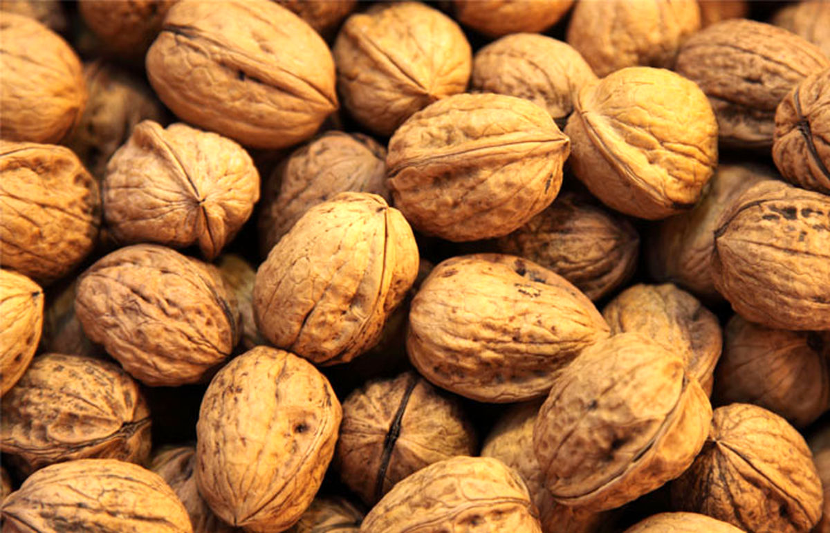 14 خوراكی مفید برای تقویت سیستم ایمنی بدن