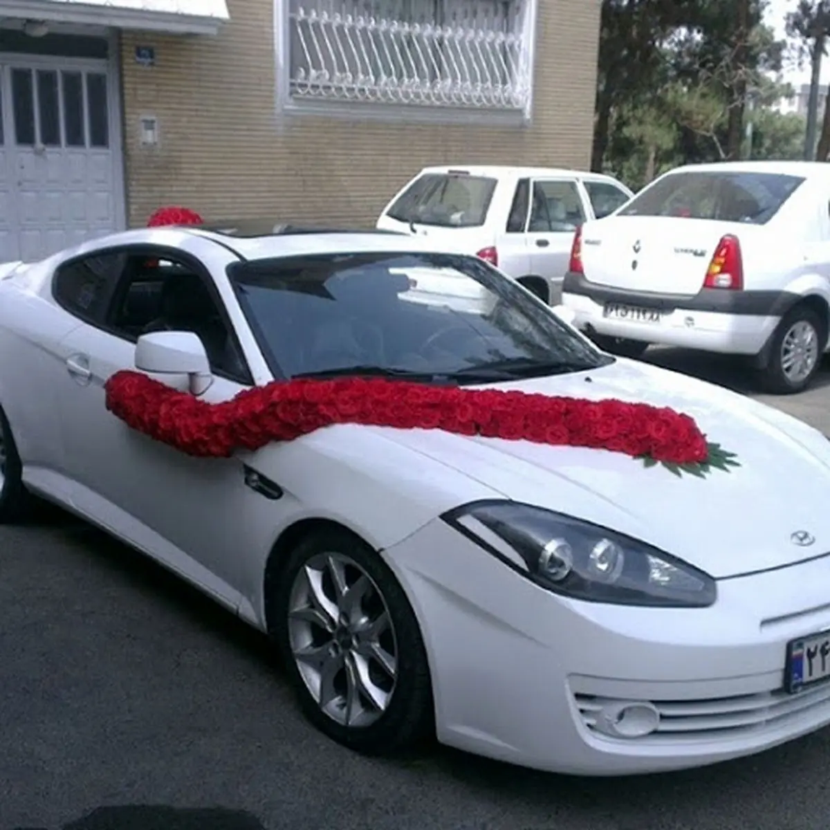 ببینید: دامادهای بازداشتی با فاصله اجتماعی!