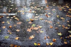 پایان هفته بارانی در گیلان/ دمای هوا کاهش می یابد