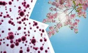 اینفوگرافی| تفاوت‌‌های آلرژی فصلی با کرونا