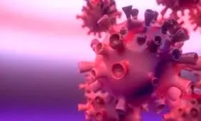 دلیل عود کردن مجدد کروناویروس در بدن بیماران بهبود یافته کره‌ای چیست؟