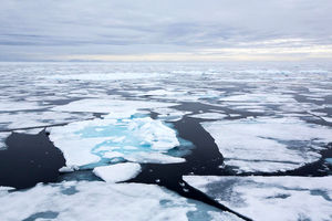 کشف دنیای مخفی بستر اقیانوس‌های قطبی+تصاویر