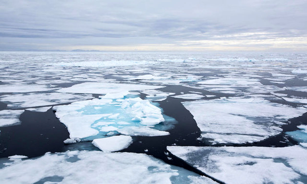 کشف دنیای مخفی بستر اقیانوس‌های قطبی+تصاویر