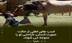 دانستنی‌های جالب؛ معمای زنان خال‌دار!