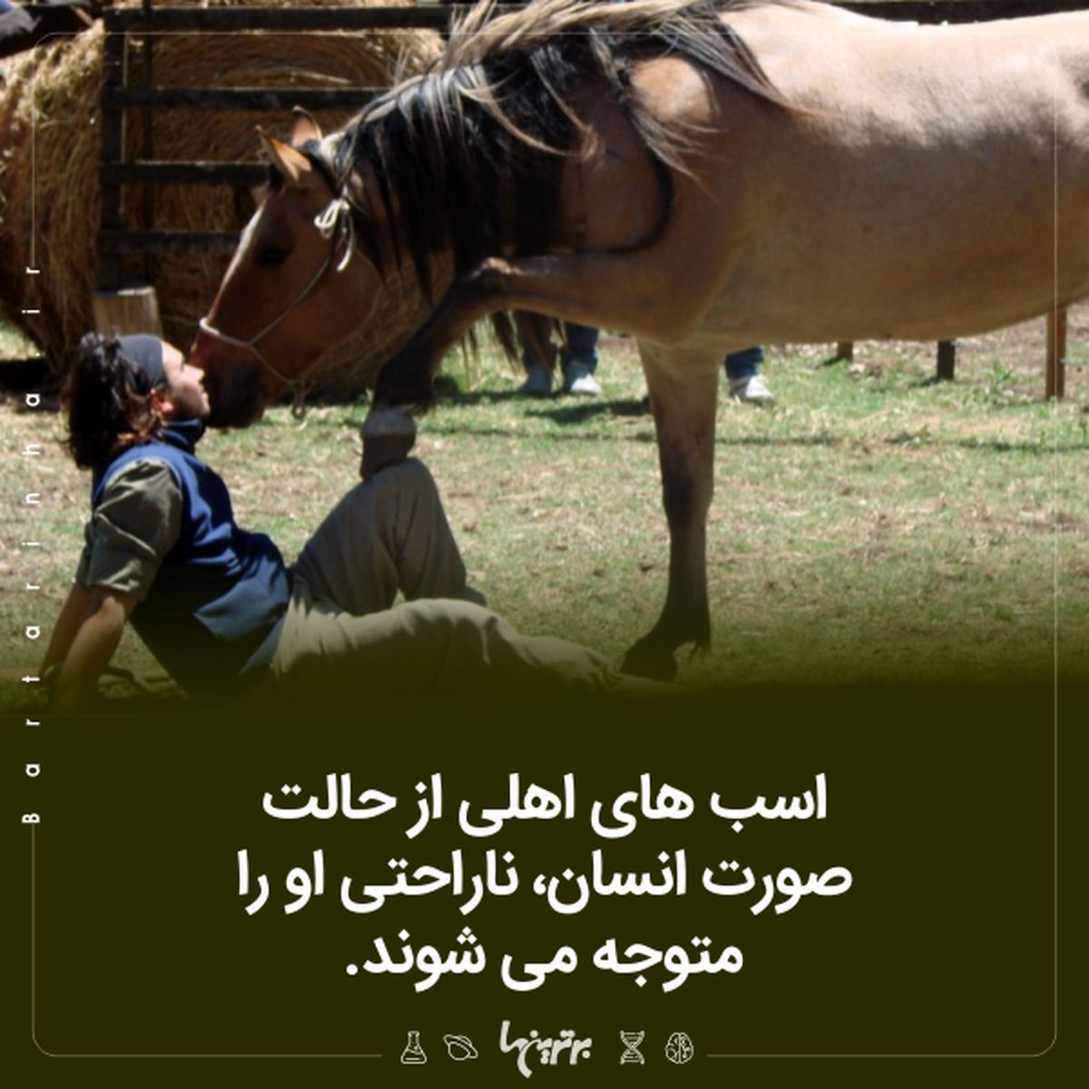دانستنی‌های جالب؛ معمای زنان خال‌دار!