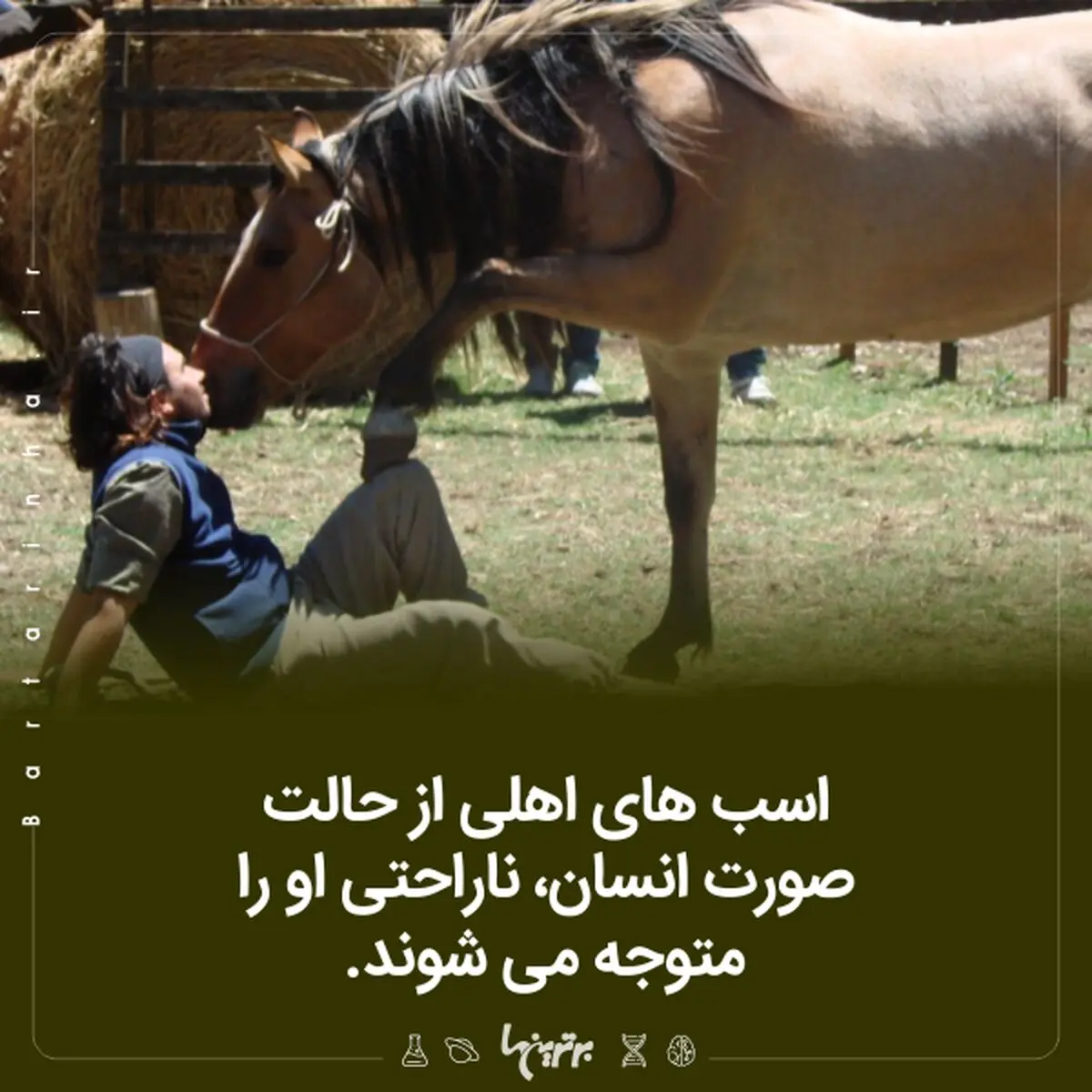 دانستنی‌های جالب؛ معمای زنان خال‌دار!