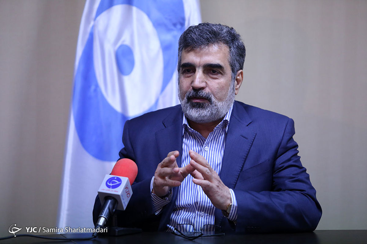 آمادگی سازمان انرژی اتمی برای ساخت کیتهای تشخیص کرونا/ مشکلی برای تامین رادیو دارو نداریم