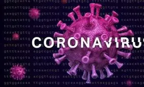 در دوران قرنطینه حال کبدتان را خوب نگه دارید