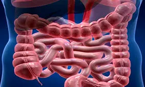 پیامدهای عملکرد بد روده چیست؟