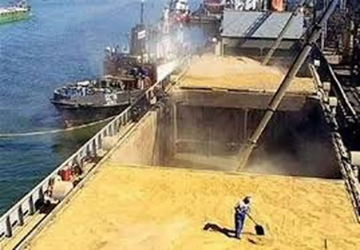 مصوبه جدید برای ترخیص کالاهای اساسی دپو شده