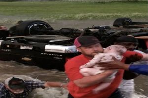 فیلم / نجات معجزه آسای دو کودک بعد از واژگونی خودرو در رودخانه خروشان