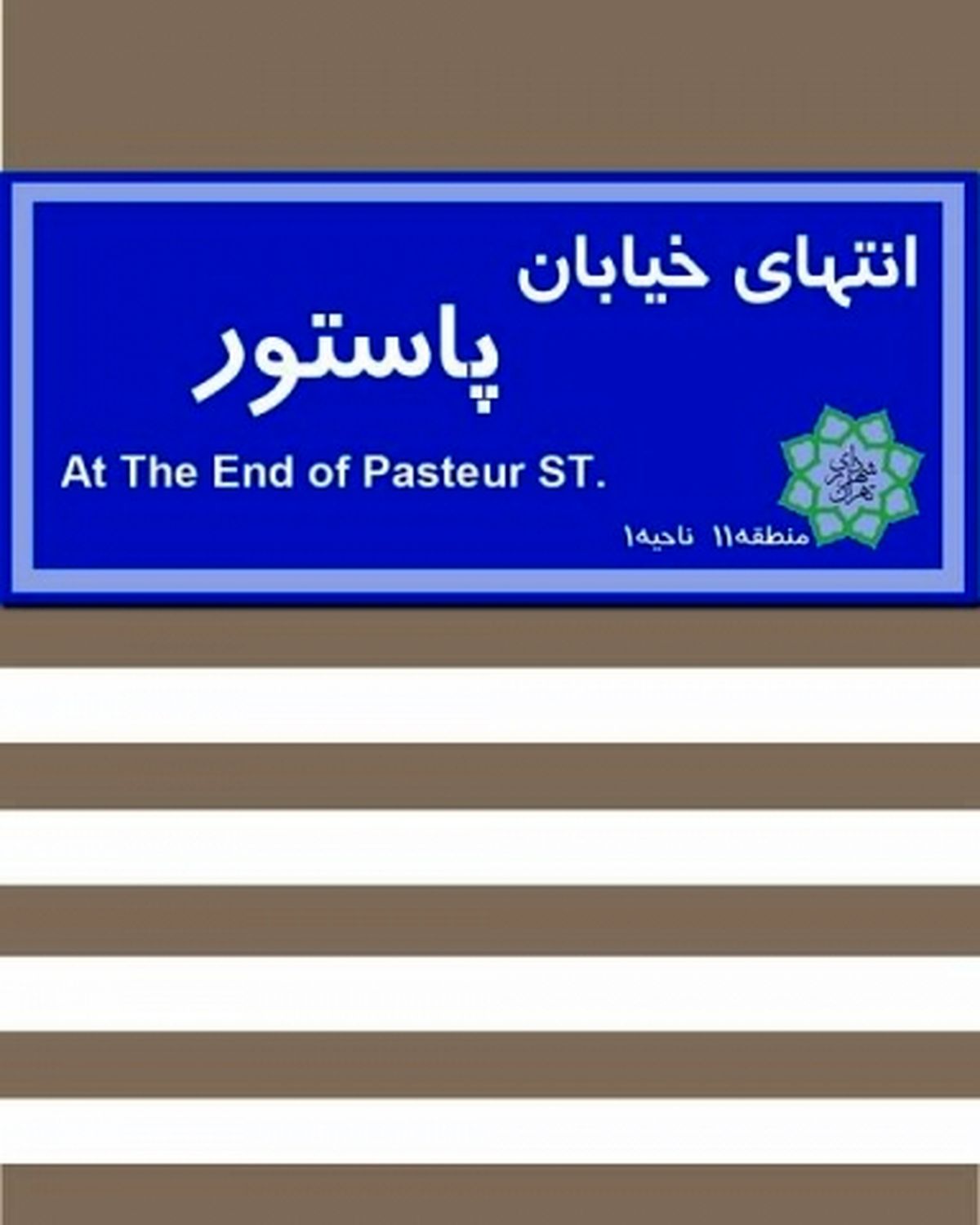 مستند انتخاباتی به پرده سینماها میآید