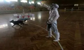 ببینید| تربیت سگ‌ها برای تشخیص مبتلایان به کرونا