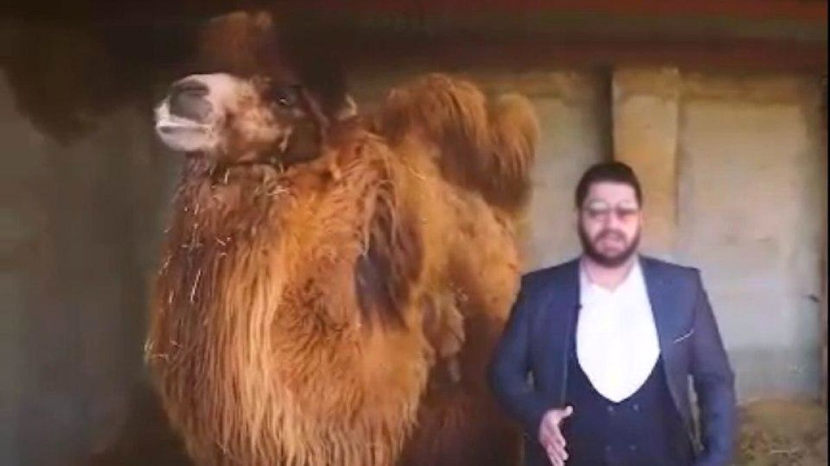 تبلیغکننده مزایای نوشیدن ادرار شتر بازداشت شد
