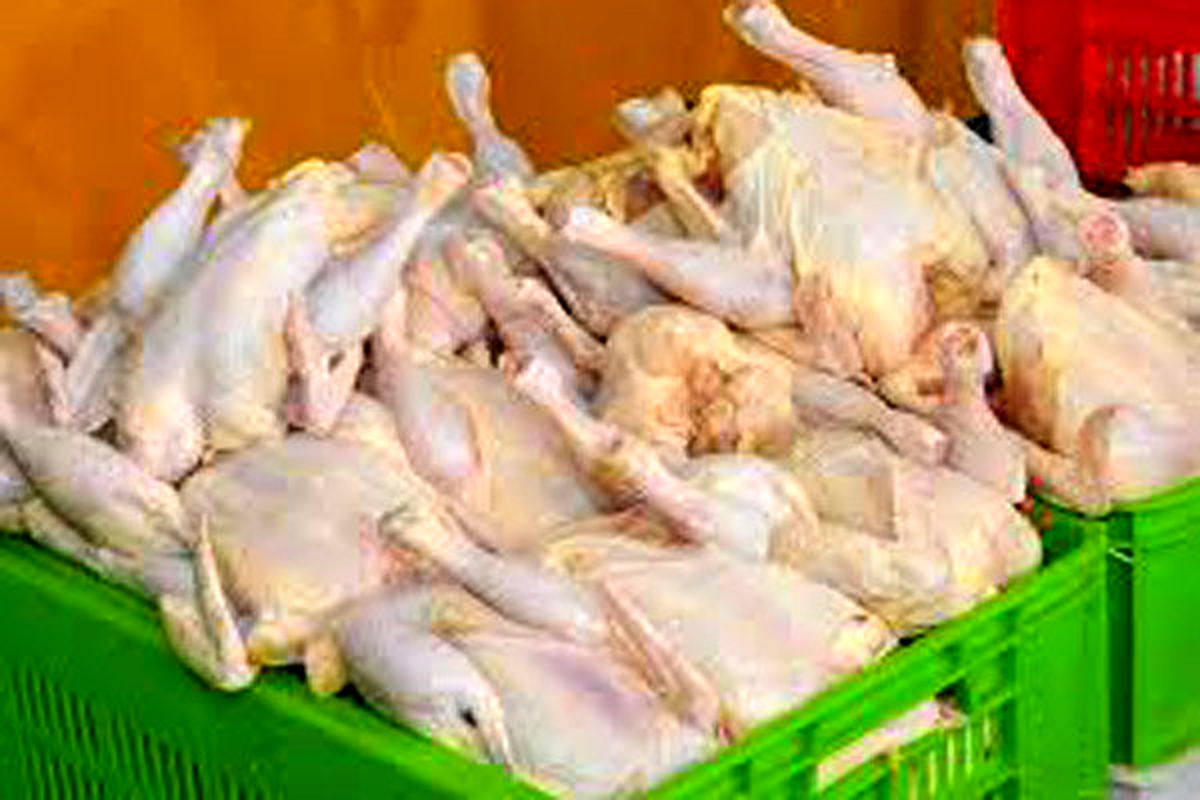 قطعه‌بندی گوشت مرغ در واحد های صنفی ممنوع است