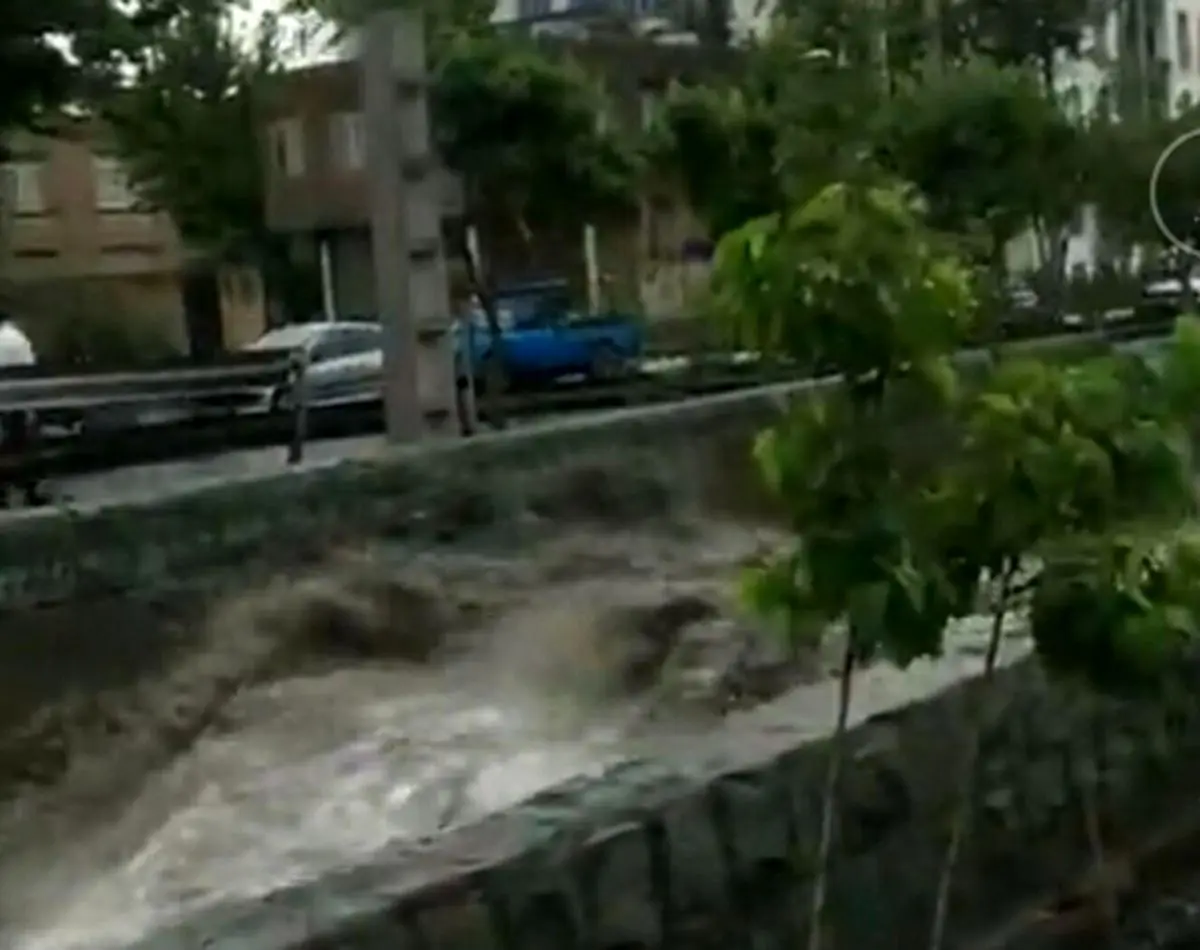 فیلم/اینجا رودخانه نیست تهران است/ بارش عجیب باران