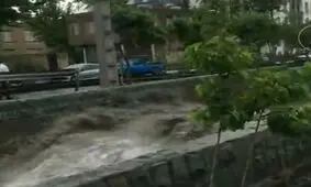 فیلم/اینجا رودخانه نیست تهران است/ بارش عجیب باران
