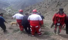 مرد ۵۵ ساله هنگام چیدن قارچ درگذشت