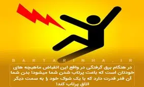 دانستنی‌های جالب؛ موز آبی و فوبیای یونس!