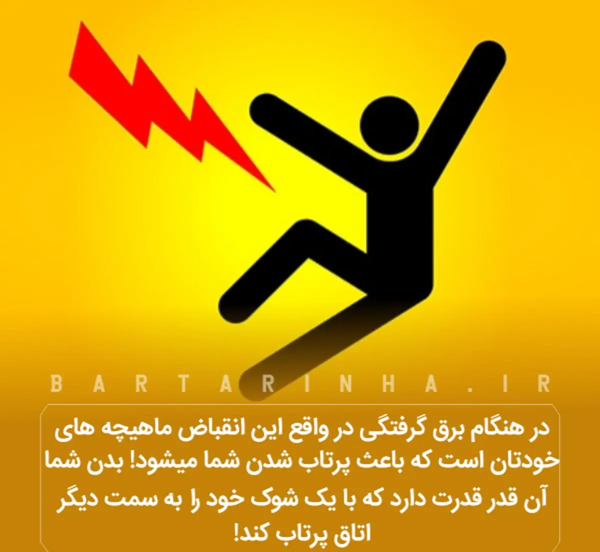 دانستنی‌های جالب؛ موز آبی و فوبیای یونس!