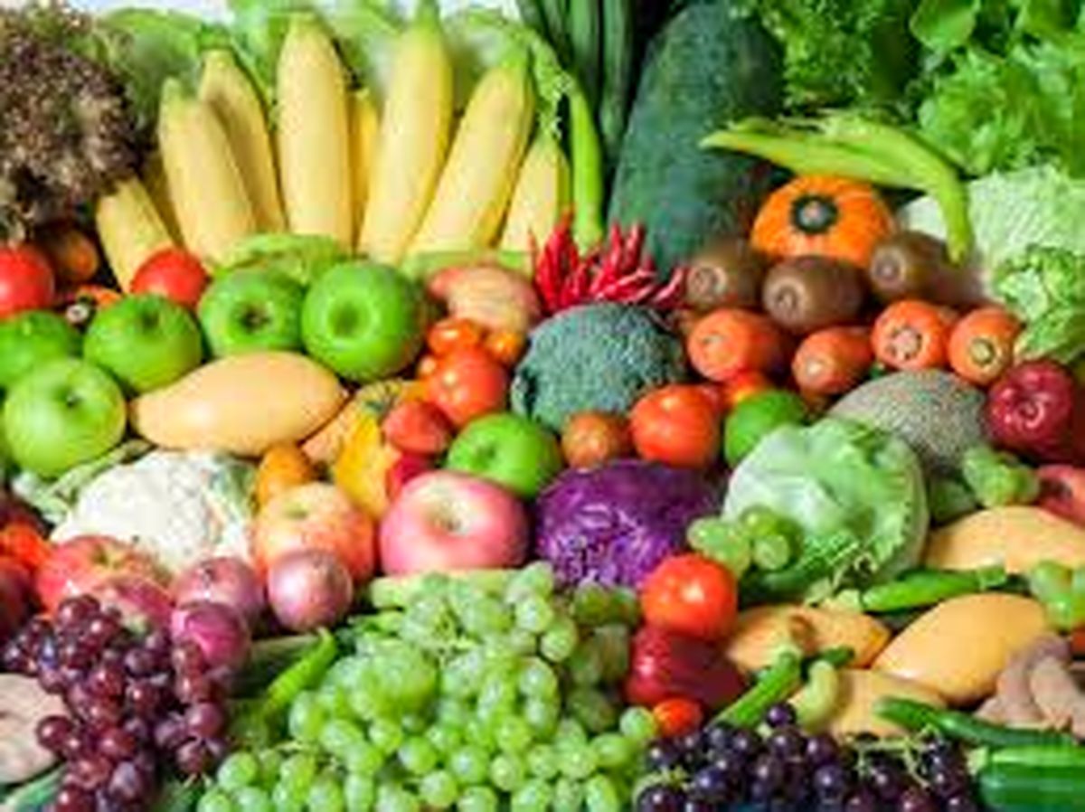 صادرات محصولات کشاورزی ایران به کویت؛ برای نخستین بار پس از کرونا