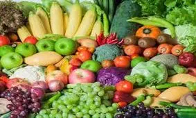 صادرات محصولات کشاورزی ایران به کویت؛ برای نخستین بار پس از کرونا