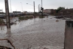 آب گرفتگی روستای عباس آباد شاهرود+ تصویر