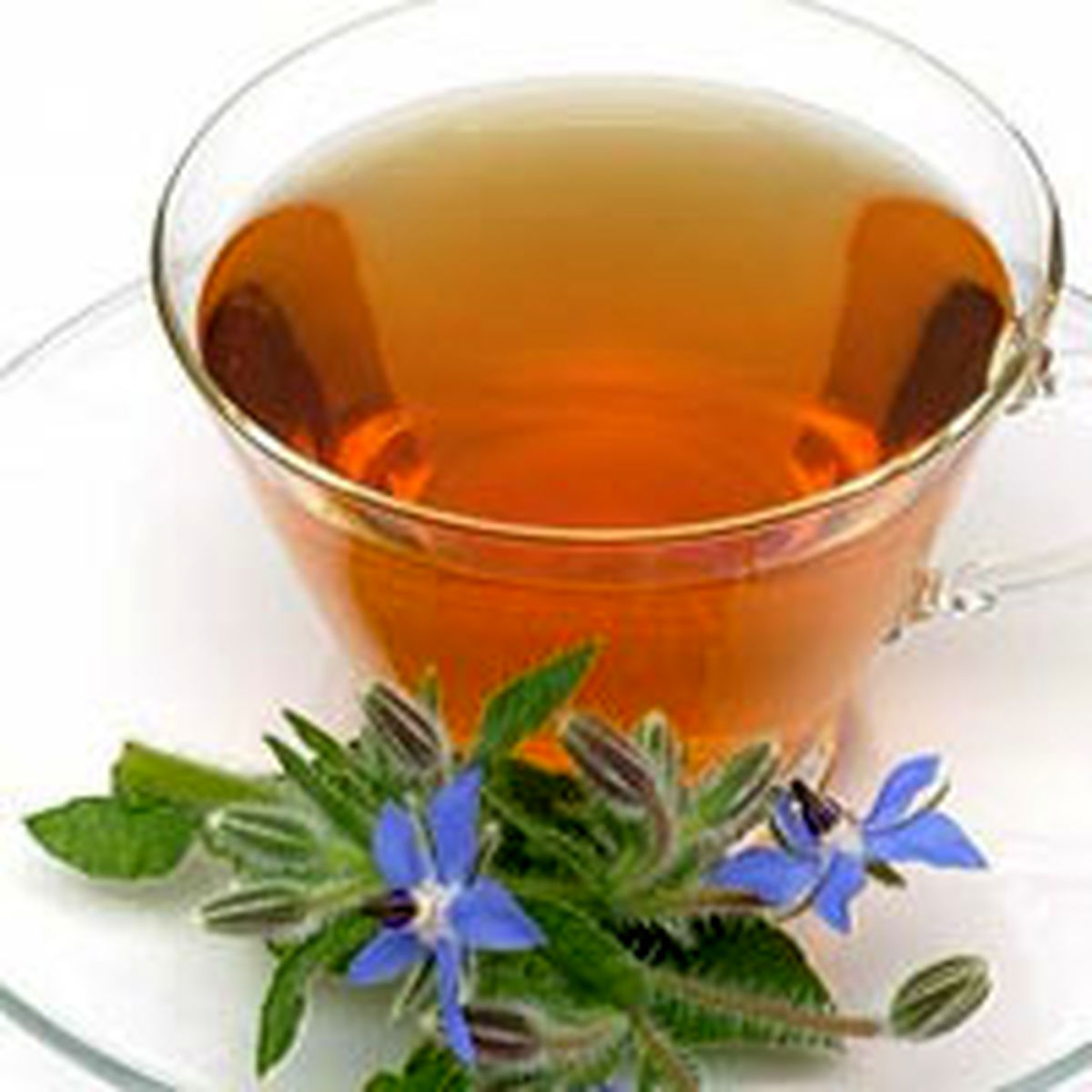 زمانیکه جوشانده گلگاوزبان مضر میشود!