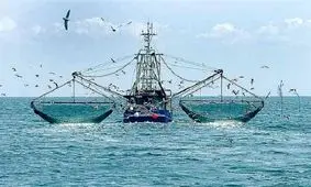 توقیف ۳۴ فروند شناور غیرمجاز صید ترال هرمزگان از ابتدای امسال