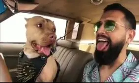 محسن افشانی و ادامه حواشی‌اش بعد از آزادی از زندان / فیلم