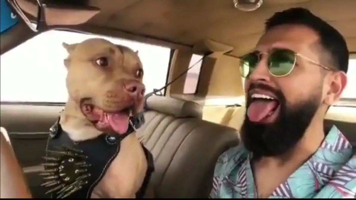 محسن افشانی و ادامه حواشی‌اش بعد از آزادی از زندان / فیلم