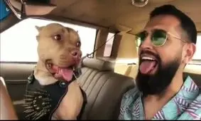 محسن افشانی و ادامه حواشی‌اش بعد از آزادی از زندان / فیلم