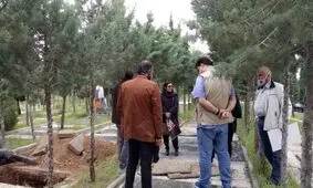 پیکر نجف دریابندری زیر باران آرام گرفت