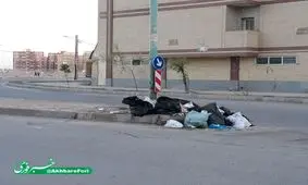 نبود سطل زباله در شهرک مطهری کرمان+ تصویر