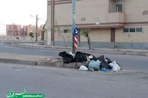 نبود سطل زباله در شهرک مطهری کرمان+ تصویر