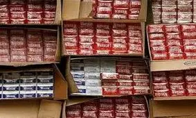 قاچاق دخانیات از مرغداری در شاهین‌شهر