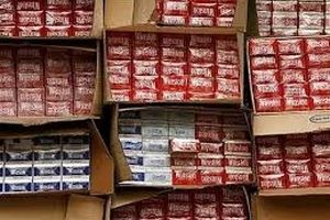 قاچاق دخانیات از مرغداری در شاهین‌شهر